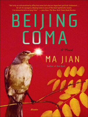 cover image of Beijing Coma